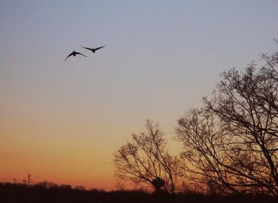 Heading Home by The ChefEric Hatch