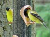 <b>Are You Still There, Darlin?</b><br><font size=1>by TheTwin<br>Bev Brink