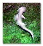 <B>Ghost Image</B><br><font size =1>by Enigma<br>MFC</font></p>
