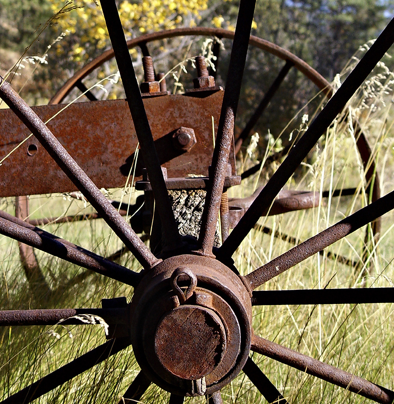 Connected Circles * <br> by mlynn