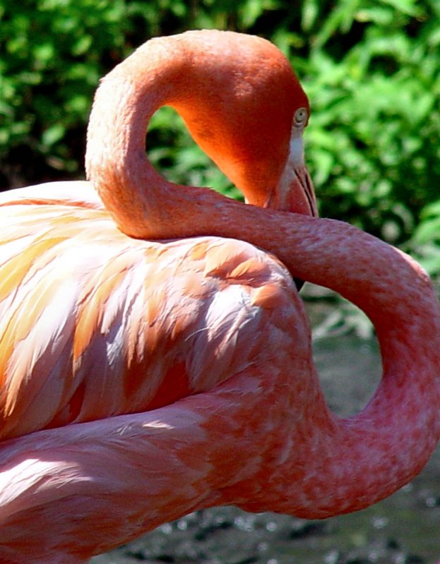 <b>NOT Your Usual Lawn Ornament!</b><br><font size=1>by TheTwin<br>Bev Brink