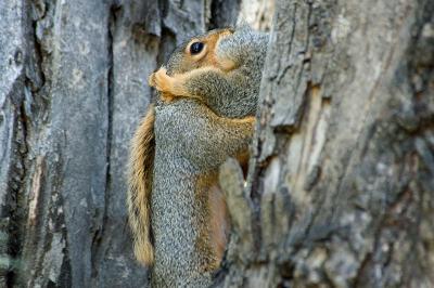 DSC_3991.JPG