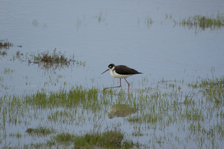 DSC_5963.JPG