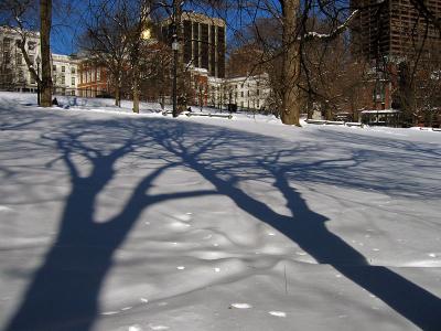 Shadow Twins
