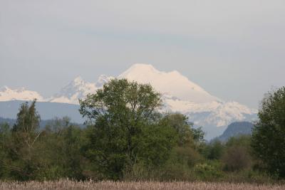 4-20 baker 5800.jpg