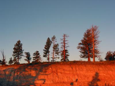 Bryce Canyon.jpg