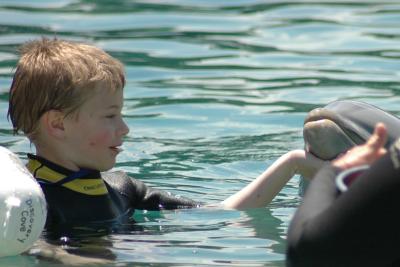discovery_cove_05