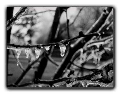 Black and White Ice/ 29 Jan 05