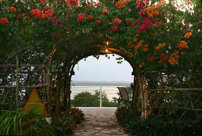 Camino Real Hotel grounds