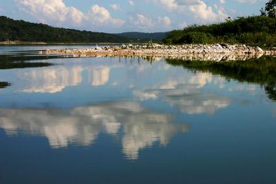 Cloudy Waters