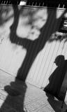 shadows telling a story