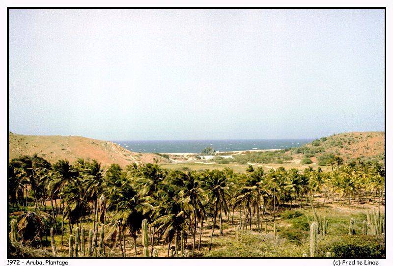 079-Aruba plantage copy.jpg