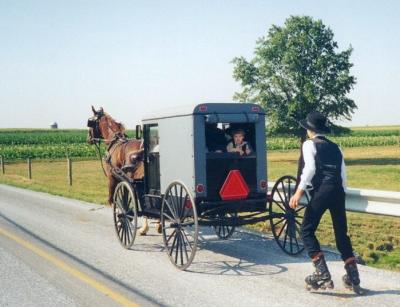 Buggy Rollerblading