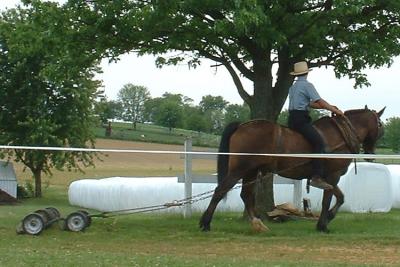 One Horse Power Mower