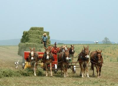 Baling Hay