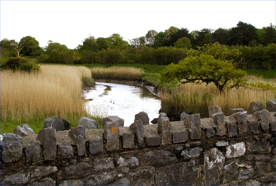 Tralee Wetlands