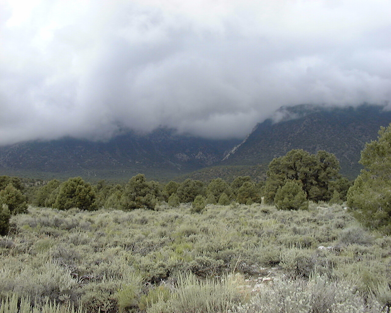 Waucoba Mountain in cloud, Whippoorwill Flat