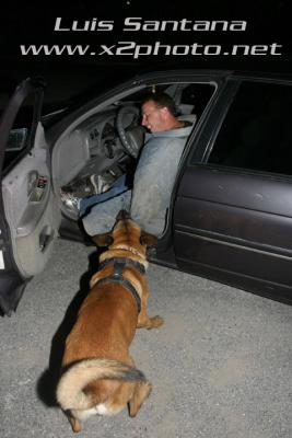 Tampa Police K-9 Unit ZINO