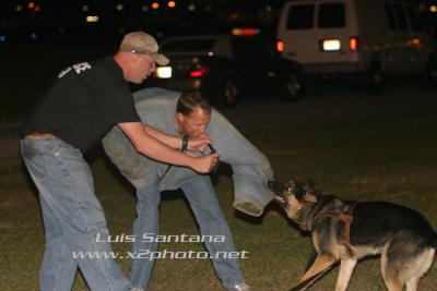 Tampa Police K-9 Unit