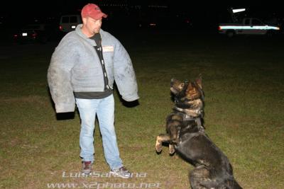 Tampa Police K-9 Unit Hunter