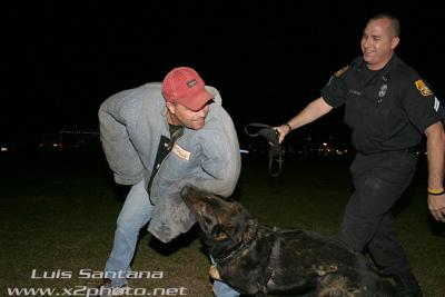 Tampa Police K-9 Unit Hunter