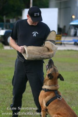 Tampa Police K-9 Unit