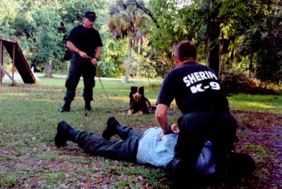 u17/thpproductions/medium/5810030.muzzlepatdown.jpg