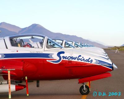 Snowbirds in the morning #2