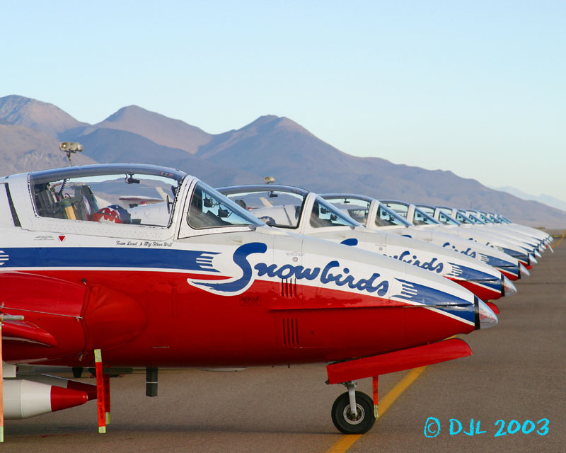 Snowbirds in the morning #1