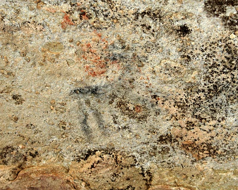 Big Horned Sheep Pictograph