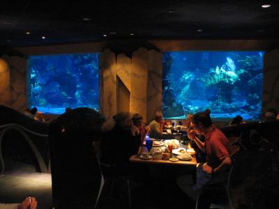 Coral Reef restaurant view