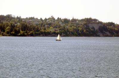 Puget Sound Sailboat