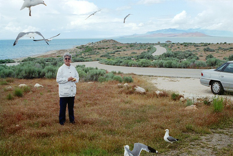 Feed the Birds, Tuppence a Bag...