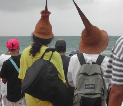 Funky Coconut Hats at Surf Competition