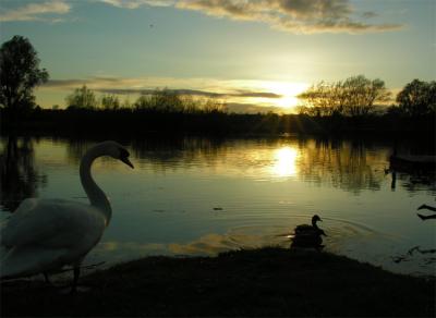  - 18th April 2005 - Evening Swan Song