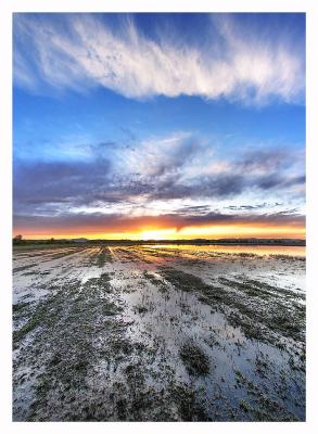 sunset2.jpg
