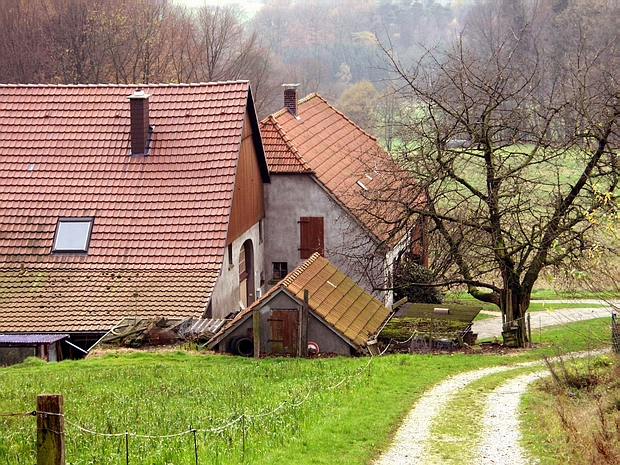 Waldbauernhof