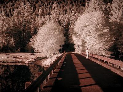 Bridge Shadows