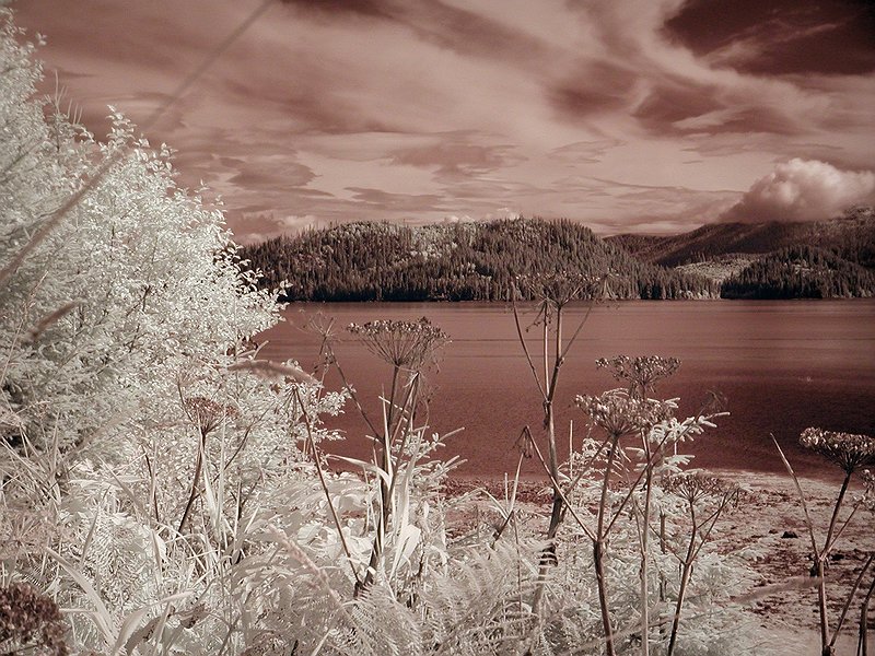 Petersburg IR