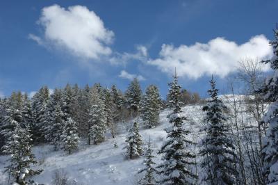 Winterszene zu Hause DSC_2503