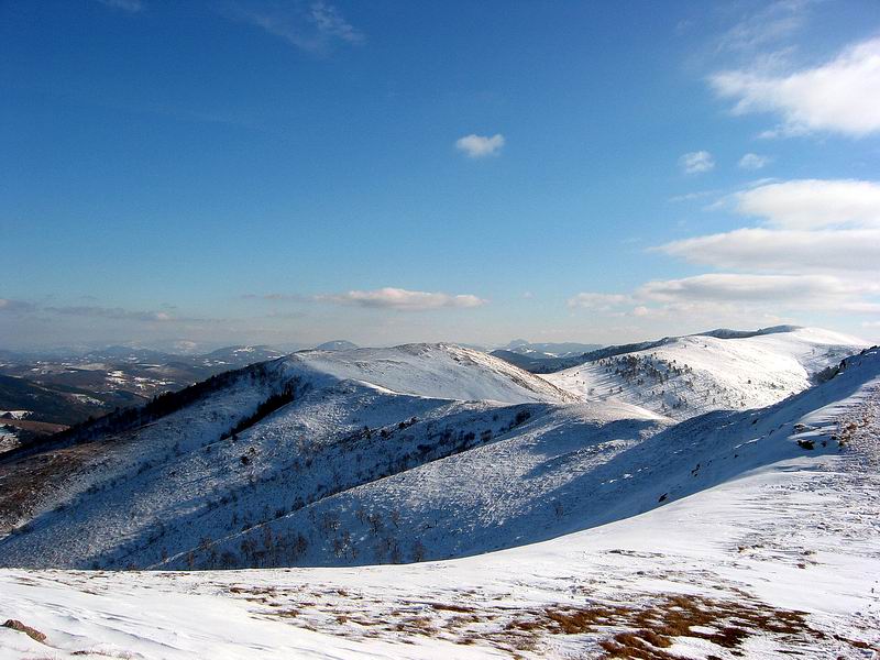 January 2005