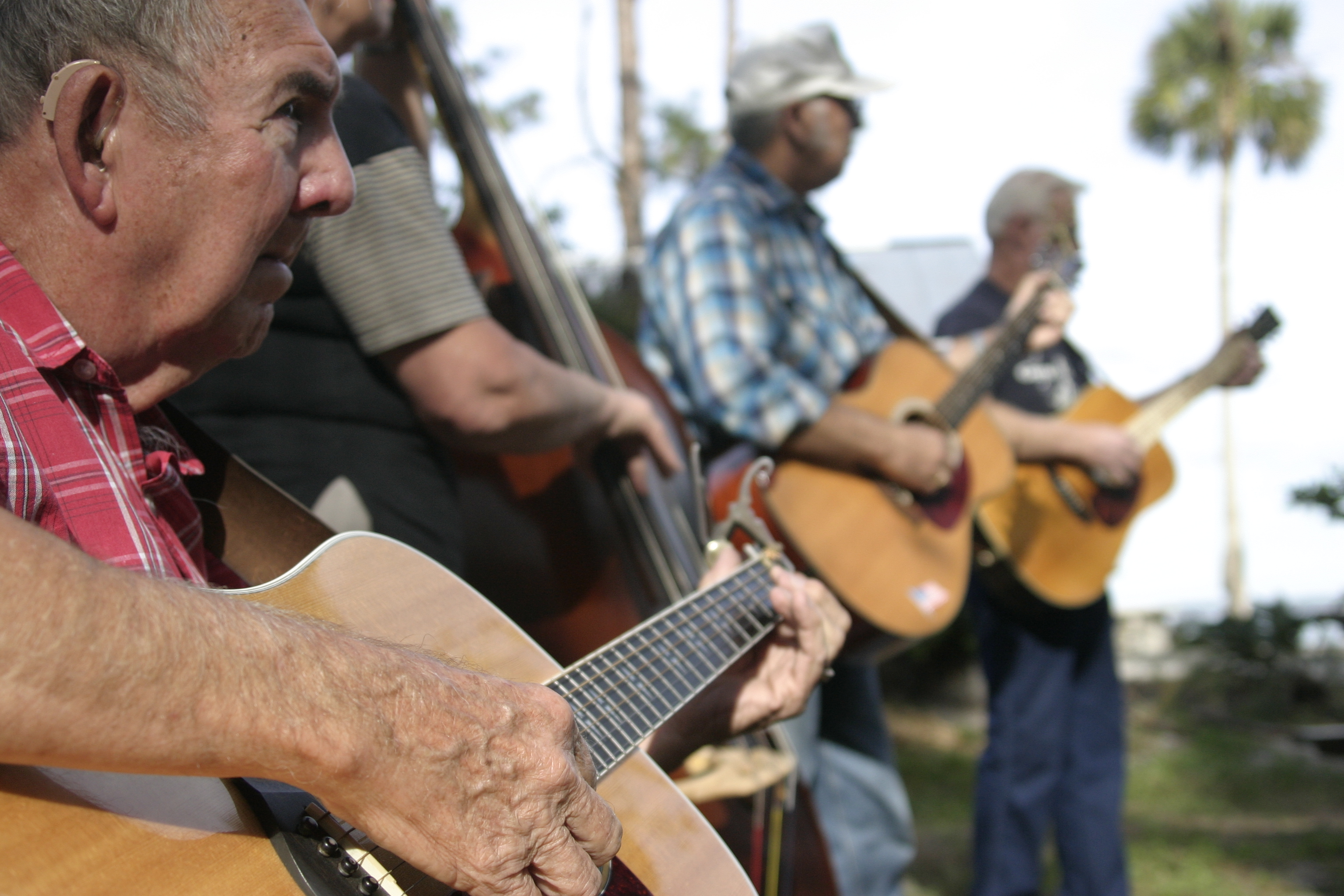 Pickin in the park