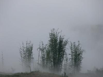 DSCN0097.jpg