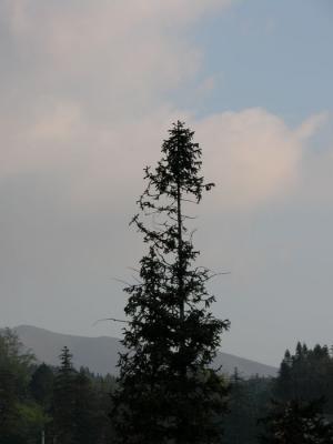 DSCN0098.jpg