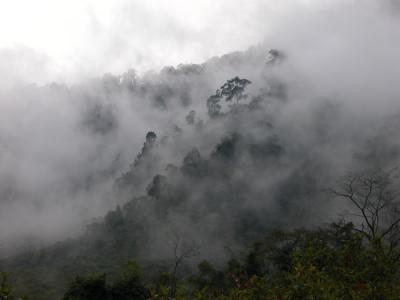 DSCN0136.jpg