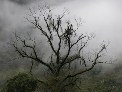 DSCN0198.jpg
