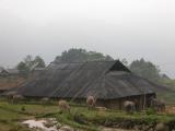 Local-house of Dzao people.jpg