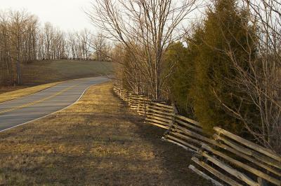 Wooden Fence 2.jpg