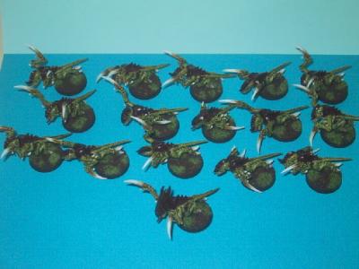 squad1.jpg