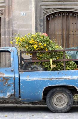 truck-flowers.jpg